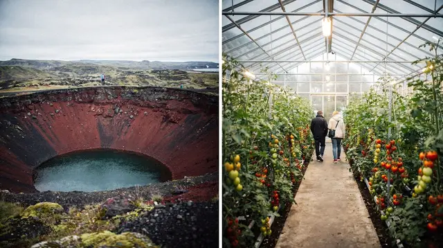 Reykjavik: Golden Circle, Kerid, and Fridheimar Minibus Tour