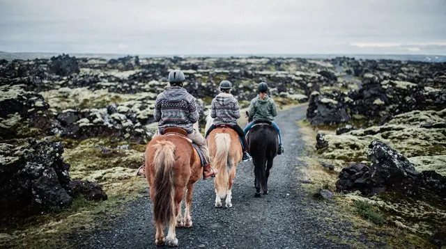 From Reykjavík: Icelandic Horse Riding Tour in Lava Fields