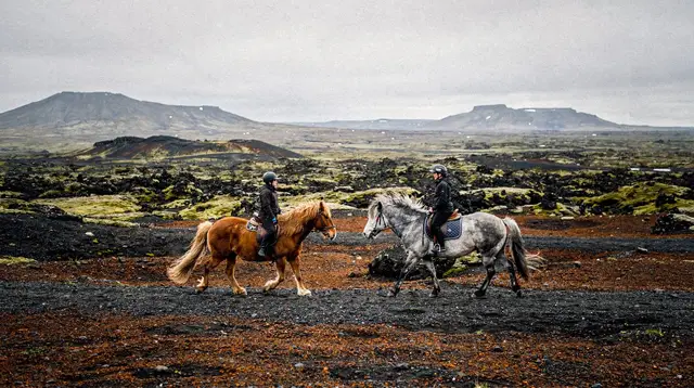 Reykjavík: Horse Riding Tours in Volcanic Landscape