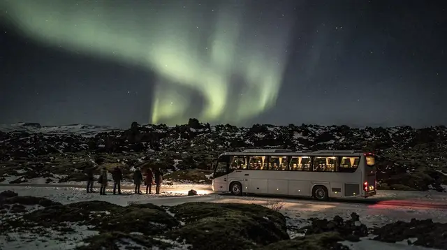 Northern Lights Luxury Bus Tour from Reykjavik