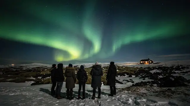 From Reykjavik: Northern Lights Tour with Lifetime Guarantee