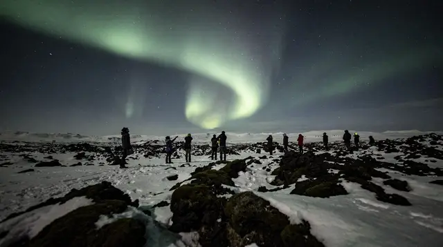 From Reykjavik: Northern Lights Tour