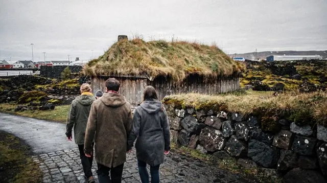 Reykjavik: Private Icelandic Viking Age Walking Tour
