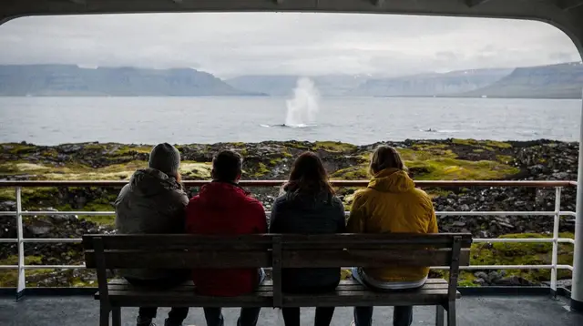 Reykjavik: Premium Whale Watching – Flexible