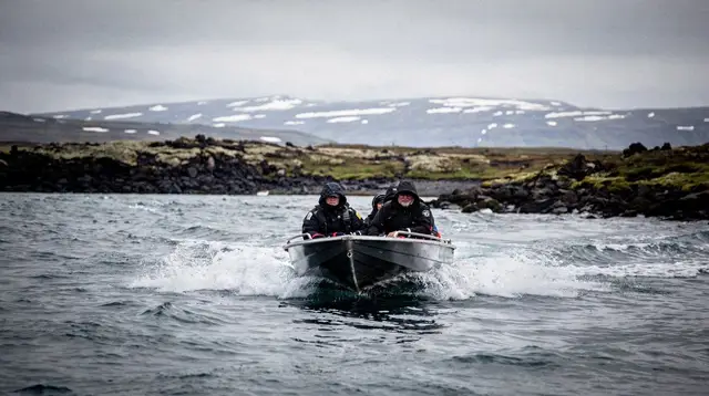 From Reykjavik: Whale Watching Tour by Speedboat