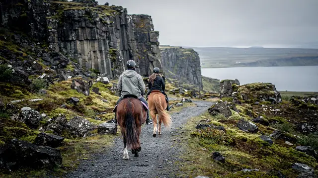 From Reykjavik: Full-Day Horse Riding & Golden Circle Tour