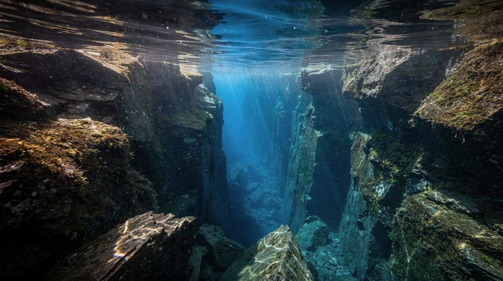 Silfra Snorkeling Tours Compared: What You Actually Get